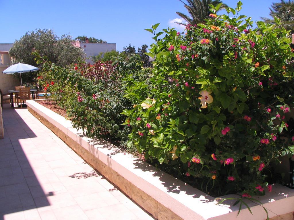 Tranquil Villa Apartments Units المليحة المظهر الخارجي الصورة